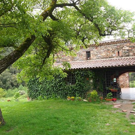 Bed And Breakfast Casanova De Sant Miquel Aiguafreda 外观 照片