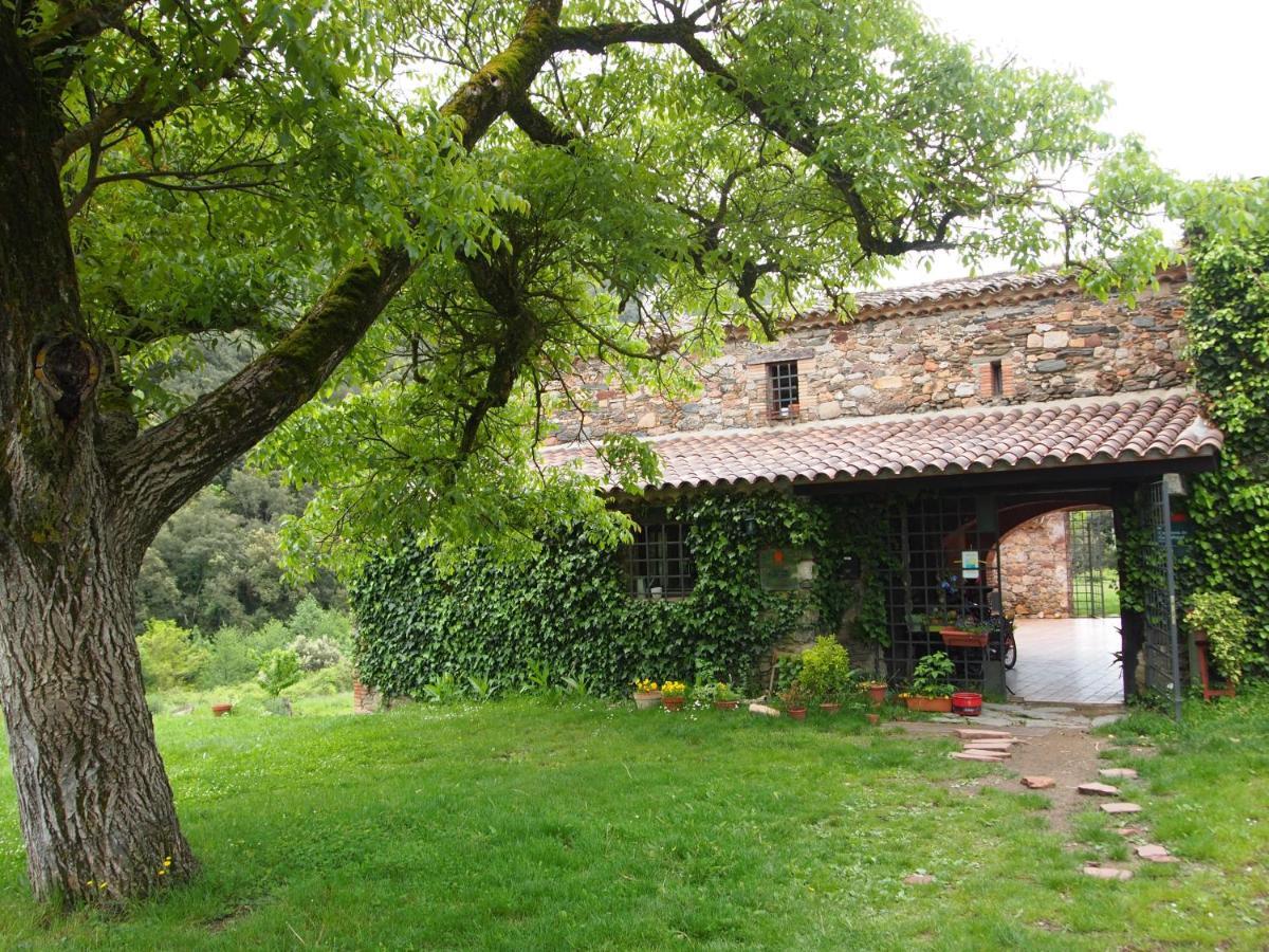 Bed And Breakfast Casanova De Sant Miquel Aiguafreda 外观 照片