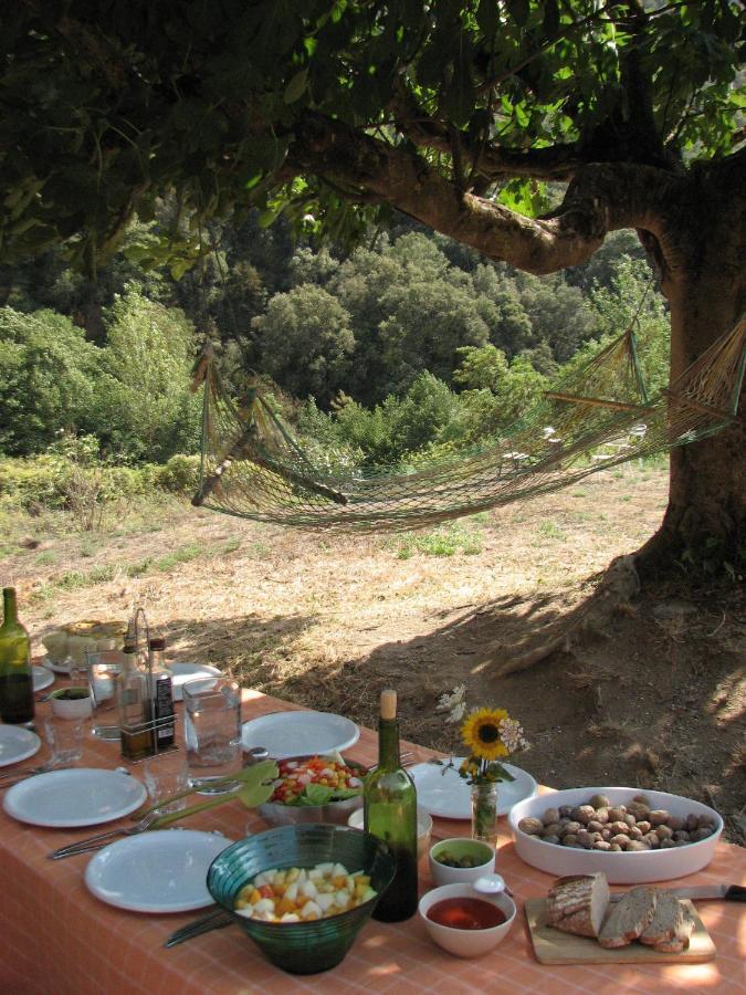Bed And Breakfast Casanova De Sant Miquel Aiguafreda 外观 照片