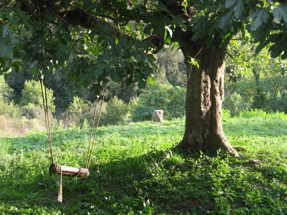 Bed And Breakfast Casanova De Sant Miquel Aiguafreda 外观 照片