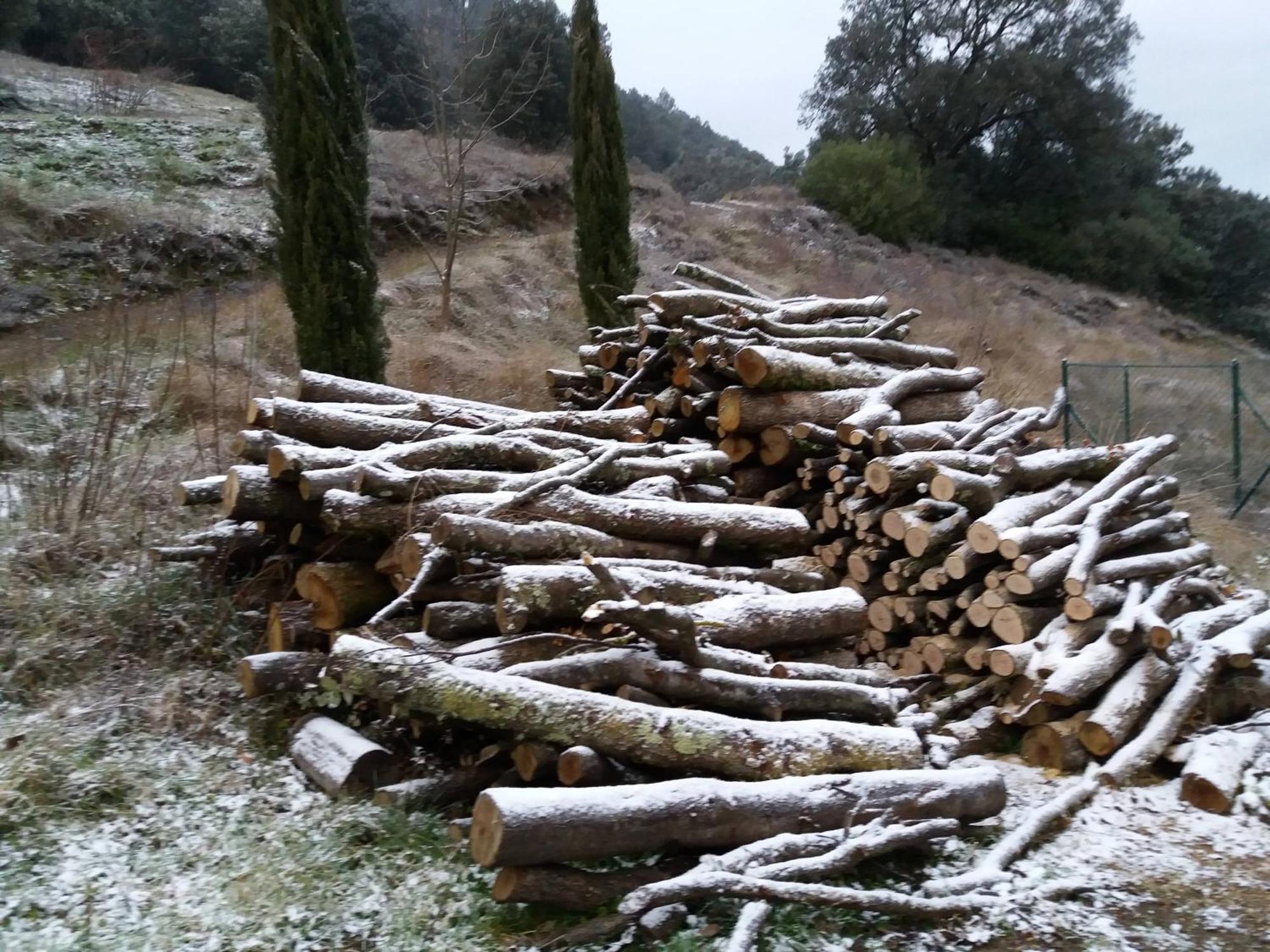 Bed And Breakfast Casanova De Sant Miquel Aiguafreda 外观 照片